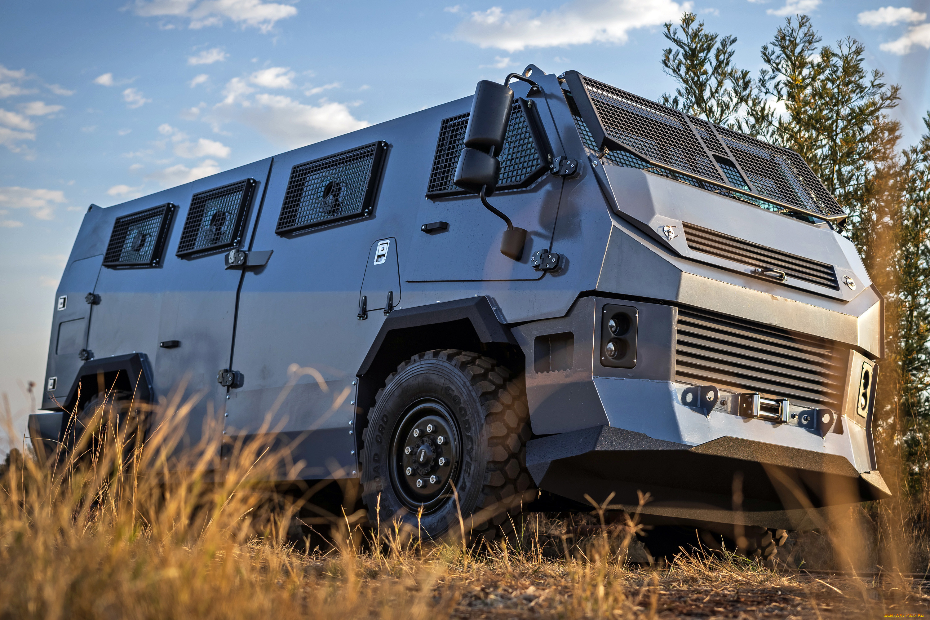 �������, ������� �������, swi